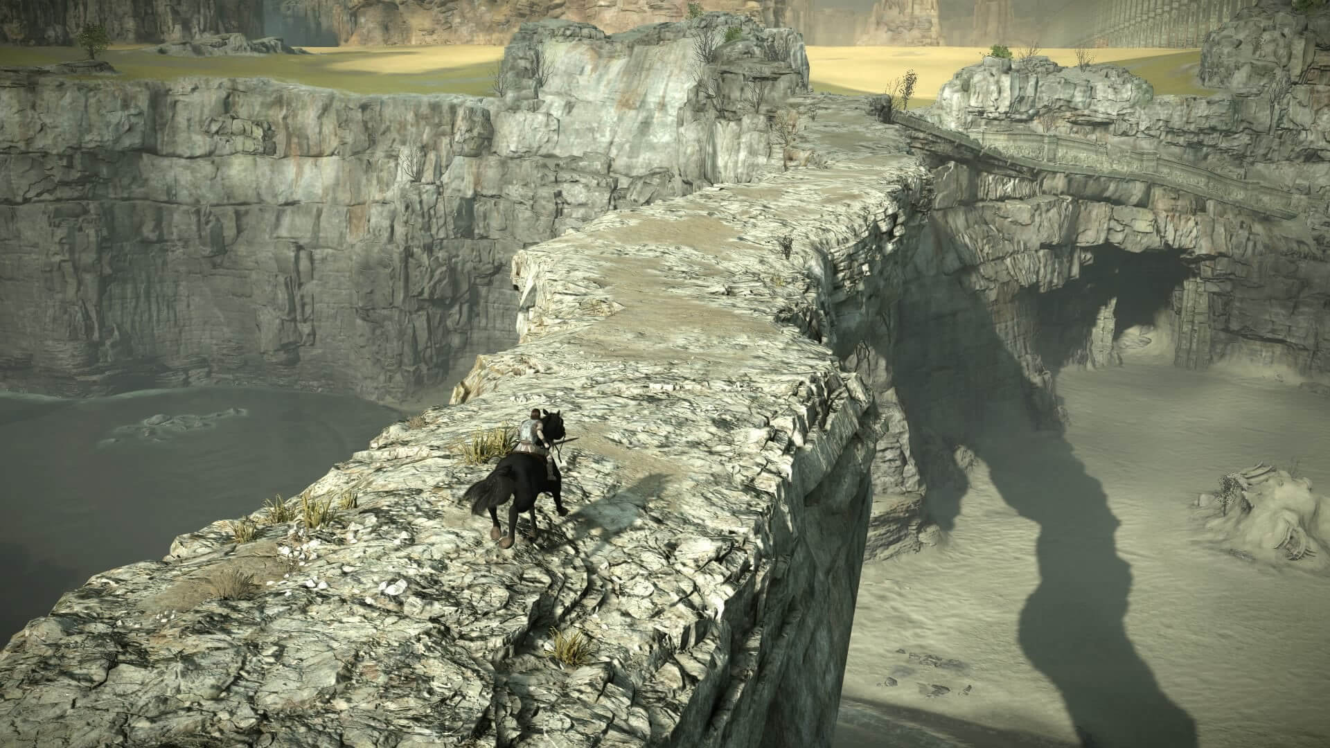 Shadow Of the Colossus 